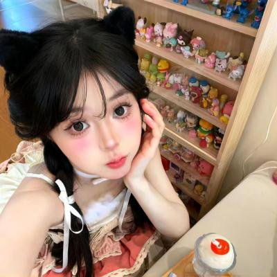 天网狼蛛